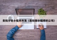 贵阳分销小程序开发（贵阳做小程序的公司）