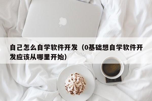 自己怎么自学软件开发(0基础想自学软件开发应该从哪里开始)