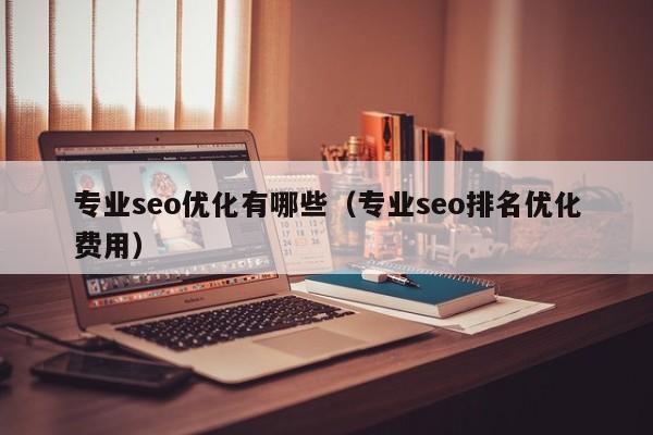 专业seo优化有哪些(专业seo排名优化费用)