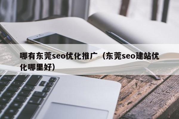 哪有东莞seo优化推广(东莞seo建站优化哪里好)
