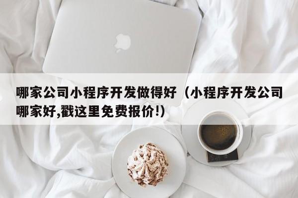 哪家公司小程序开发做得好(小程序开发公司哪家好,戳这里免费报价!)