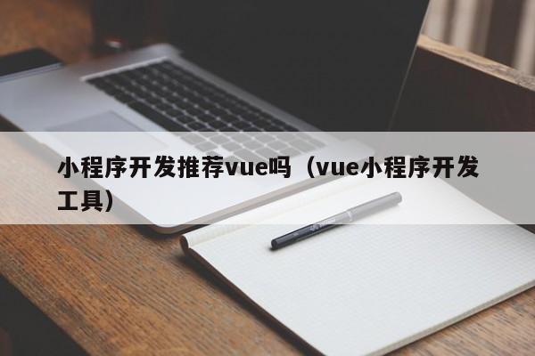 小程序开发推荐vue吗(vue小程序开发工具)