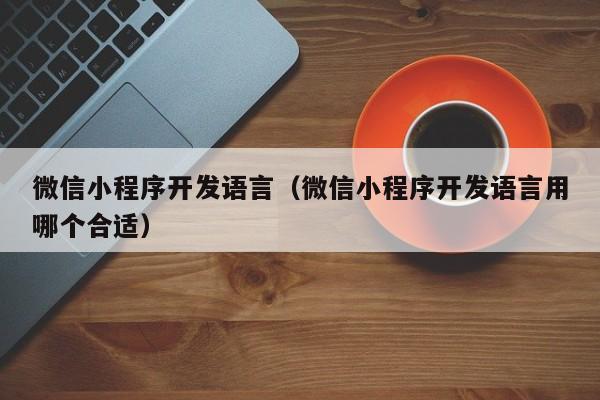微信小程序开发语言(微信小程序开发语言用哪个合适)