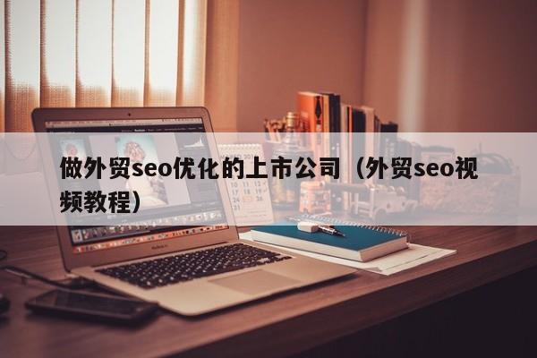 做外贸seo优化的上市公司(外贸seo视频教程)