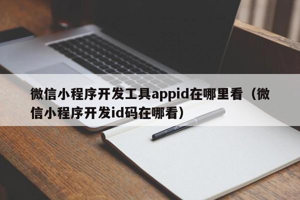 微信小程序开发工具appid在哪里看(微信小程序开发id码在哪看)