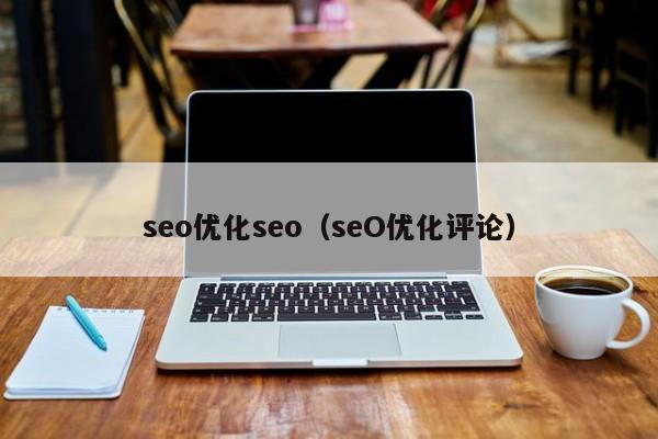 seo优化seo(seO优化评论)