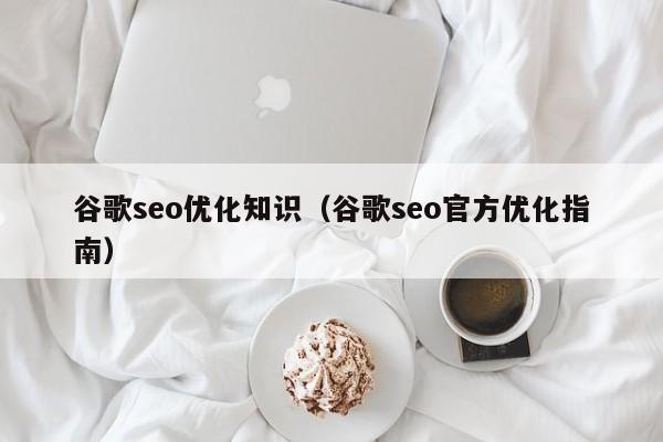 谷歌seo优化知识(谷歌seo官方优化指南)