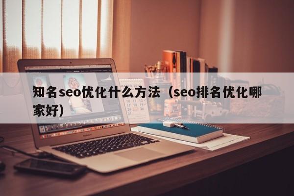 知名seo优化什么方法(seo排名优化哪家好)