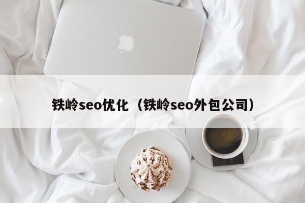 铁岭seo优化(铁岭seo外包公司)
