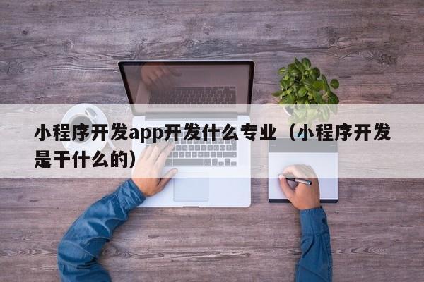 小程序开发app开发什么专业(小程序开发是干什么的)