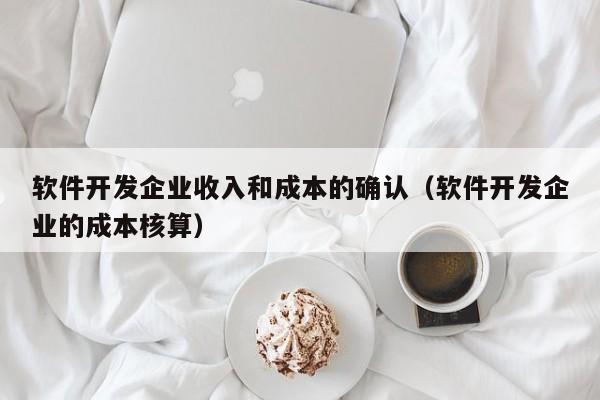软件开发企业收入和成本的确认(软件开发企业的成本核算)