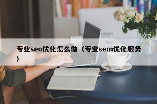 专业seo优化怎么做(专业sem优化服务)