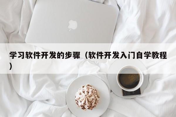 学习软件开发的步骤(软件开发入门自学教程)