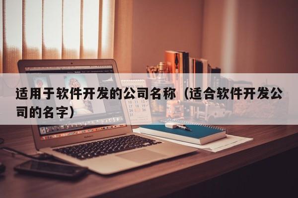 适用于软件开发的公司名称(适合软件开发公司的名字)