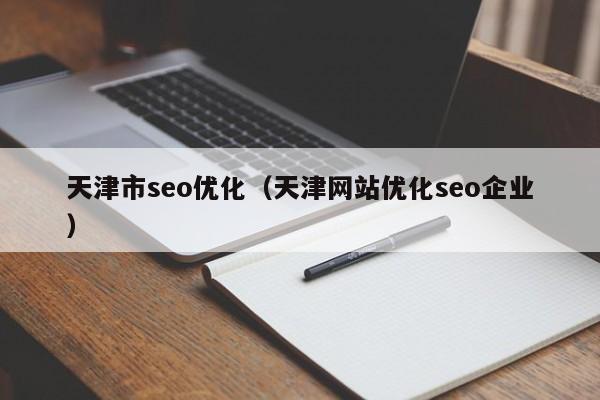 天津市seo优化(天津网站优化seo企业)