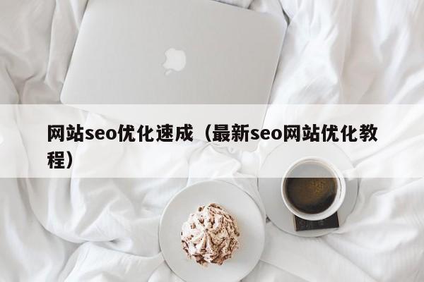 网站seo优化速成(最新seo网站优化教程)