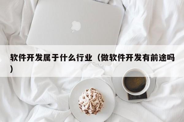 软件开发属于什么行业(做软件开发有前途吗)