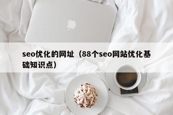 seo优化的网址(88个seo网站优化基础知识点)