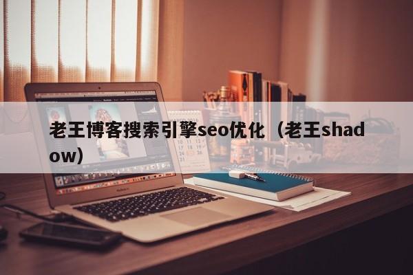 老王博客搜索引擎seo优化(老王shadow)