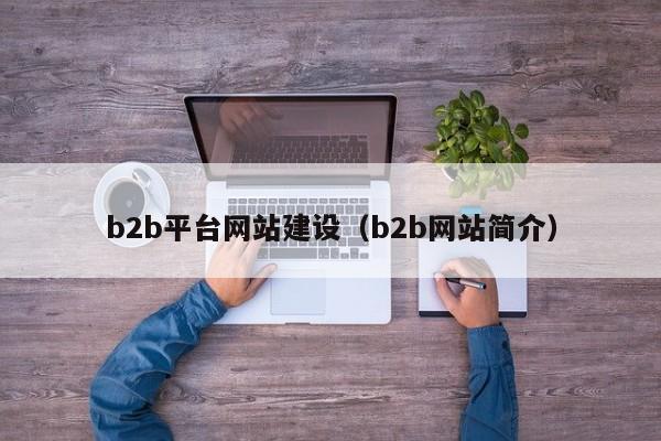 b2b平台网站建设(b2b网站简介)