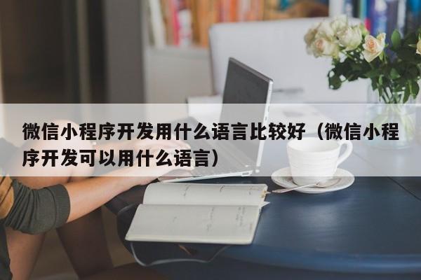 微信小程序开发用什么语言比较好(微信小程序开发可以用什么语言)
