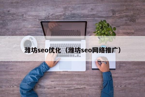 潍坊seo优化(潍坊seo网络推广)