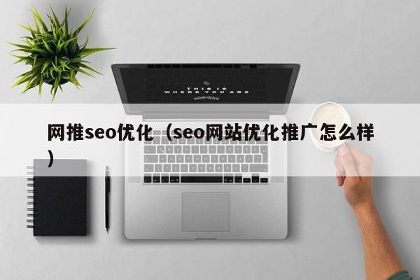 网推seo优化(seo网站优化推广怎么样)