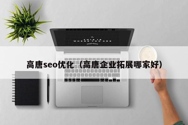 高唐seo优化(高唐企业拓展哪家好)