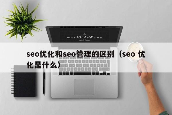 seo优化和seo管理的区别(seo 优化是什么)