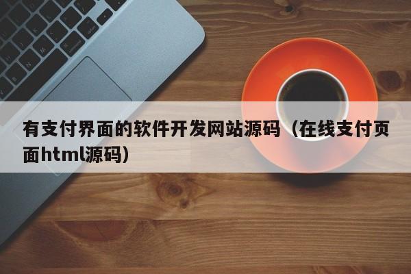 有支付界面的软件开发网站源码(在线支付页面html源码)