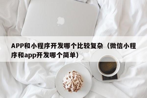 APP和小程序开发哪个比较复杂(微信小程序和app开发哪个简单)