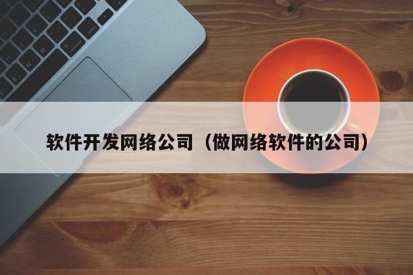 软件开发网络公司(做网络软件的公司)