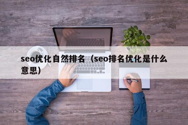 seo优化自然排名(seo排名优化是什么意思)