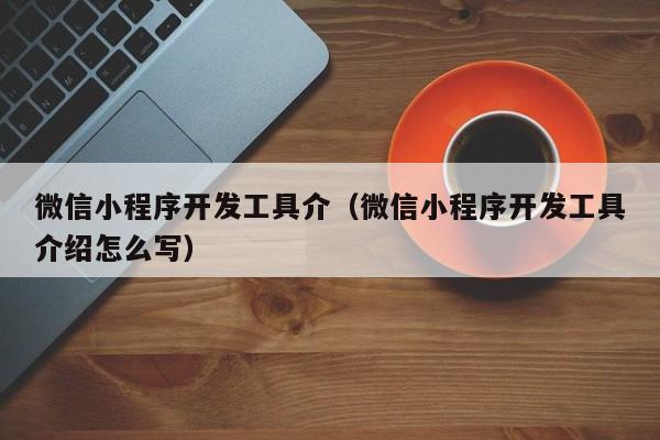 微信小程序开发工具介(微信小程序开发工具介绍怎么写)