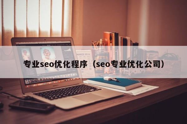 专业seo优化程序(seo专业优化公司)