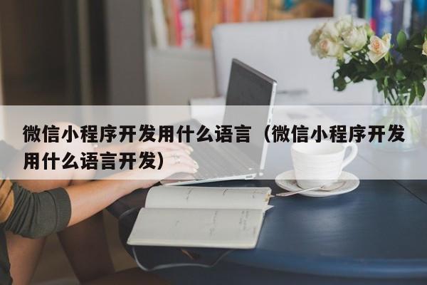 微信小程序开发用什么语言(微信小程序开发用什么语言开发)