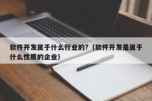 软件开发属于什么行业的?(软件开发是属于什么性质的企业)