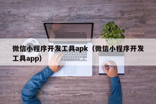 微信小程序开发工具apk(微信小程序开发工具app)