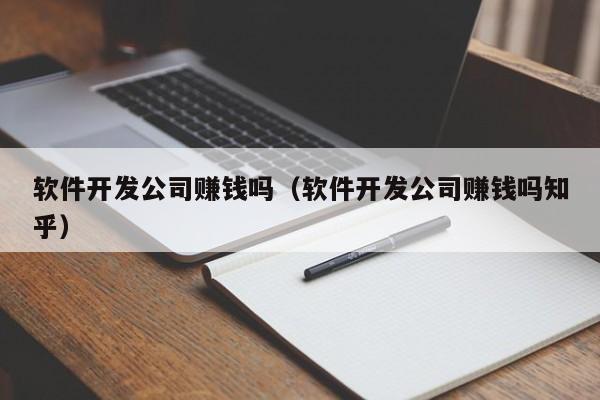 软件开发公司赚钱吗(软件开发公司赚钱吗知乎)