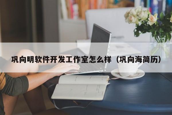 巩向明软件开发工作室怎么样(巩向海简历)