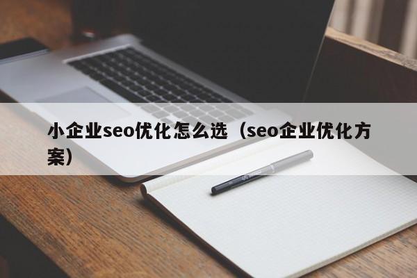 小企业seo优化怎么选(seo企业优化方案)