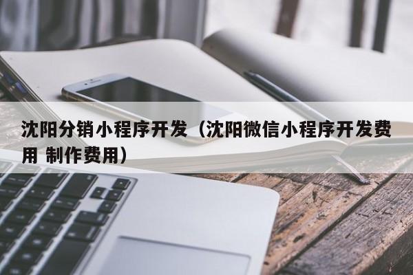 沈阳分销小程序开发(沈阳微信小程序开发费用 制作费用)