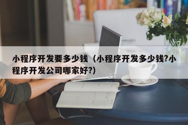 小程序开发要多少钱(小程序开发多少钱?小程序开发公司哪家好?)