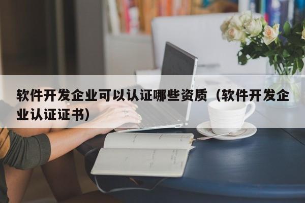 软件开发企业可以认证哪些资质(软件开发企业认证证书)