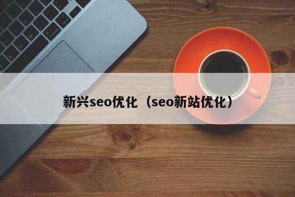 新兴seo优化(seo新站优化)