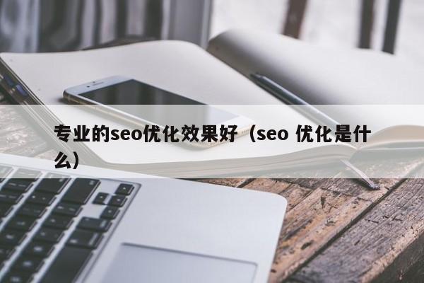 专业的seo优化效果好(seo 优化是什么)