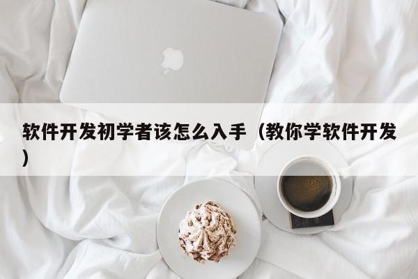 软件开发初学者该怎么入手(教你学软件开发)