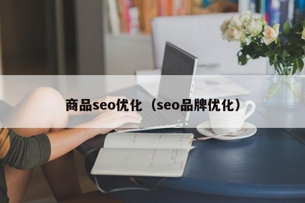 商品seo优化(seo品牌优化)