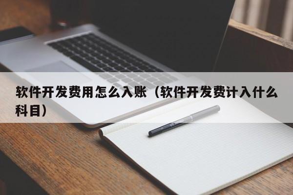 软件开发费用怎么入账(软件开发费计入什么科目)