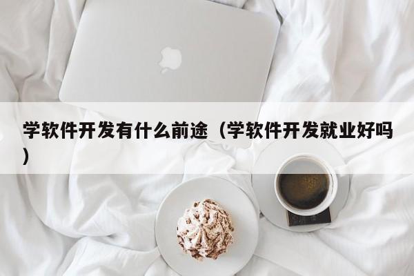 学软件开发有什么前途(学软件开发就业好吗)